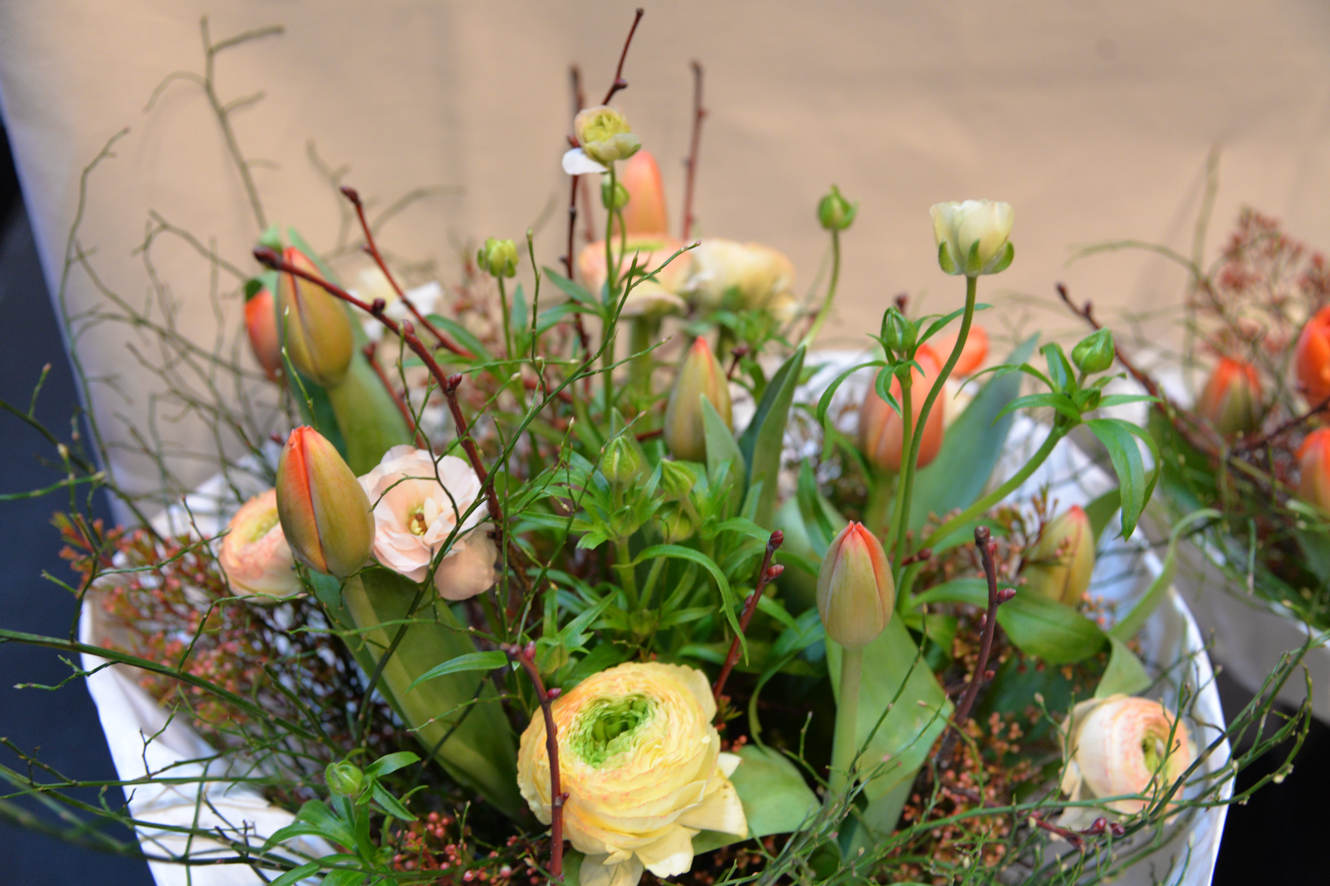 Generalversammlung 2024