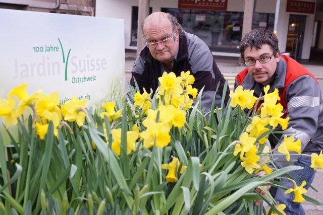 Farbenfroher Frühling