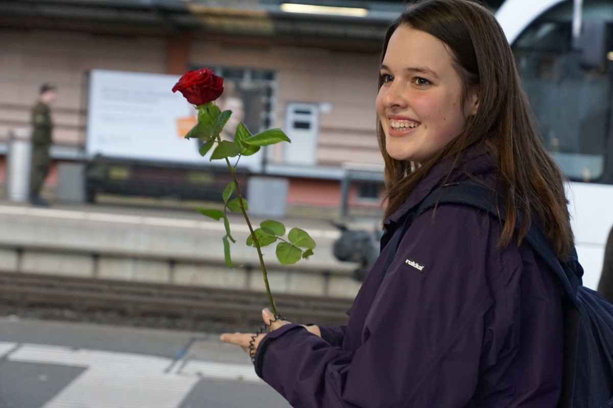 Gärtner schenken Rosen