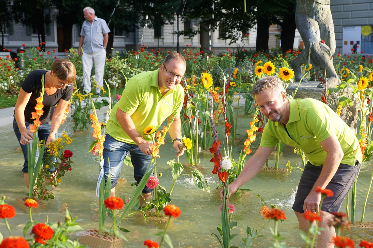 Blumenpracht in 60 Brunnen