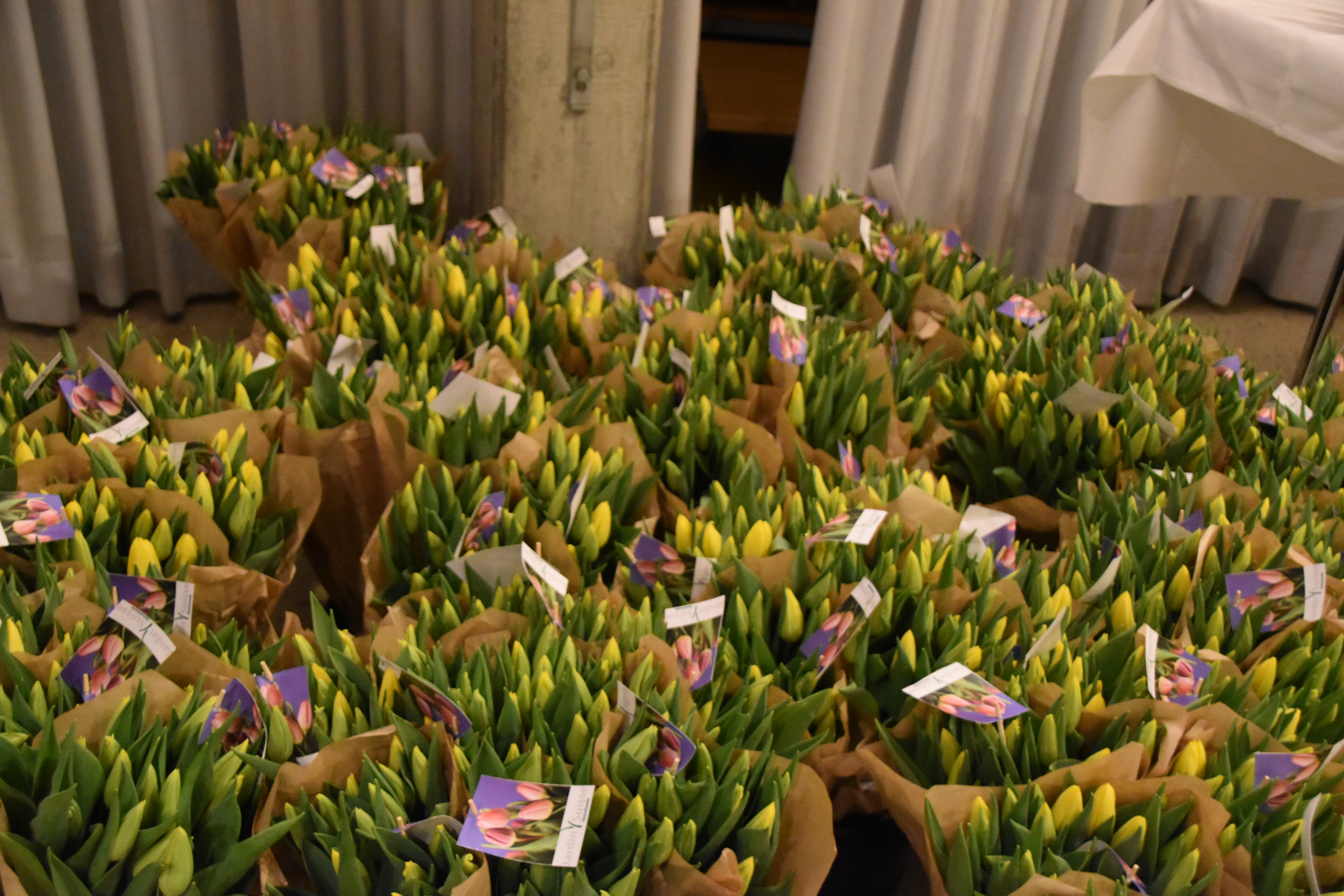 Generalversammlung 2019