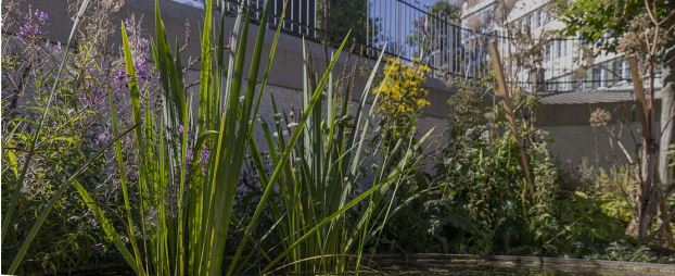 Neuer Lehrgang am WZR: Unterhalt naturnaher Lebensräume im Siedlungsraum BP-W22